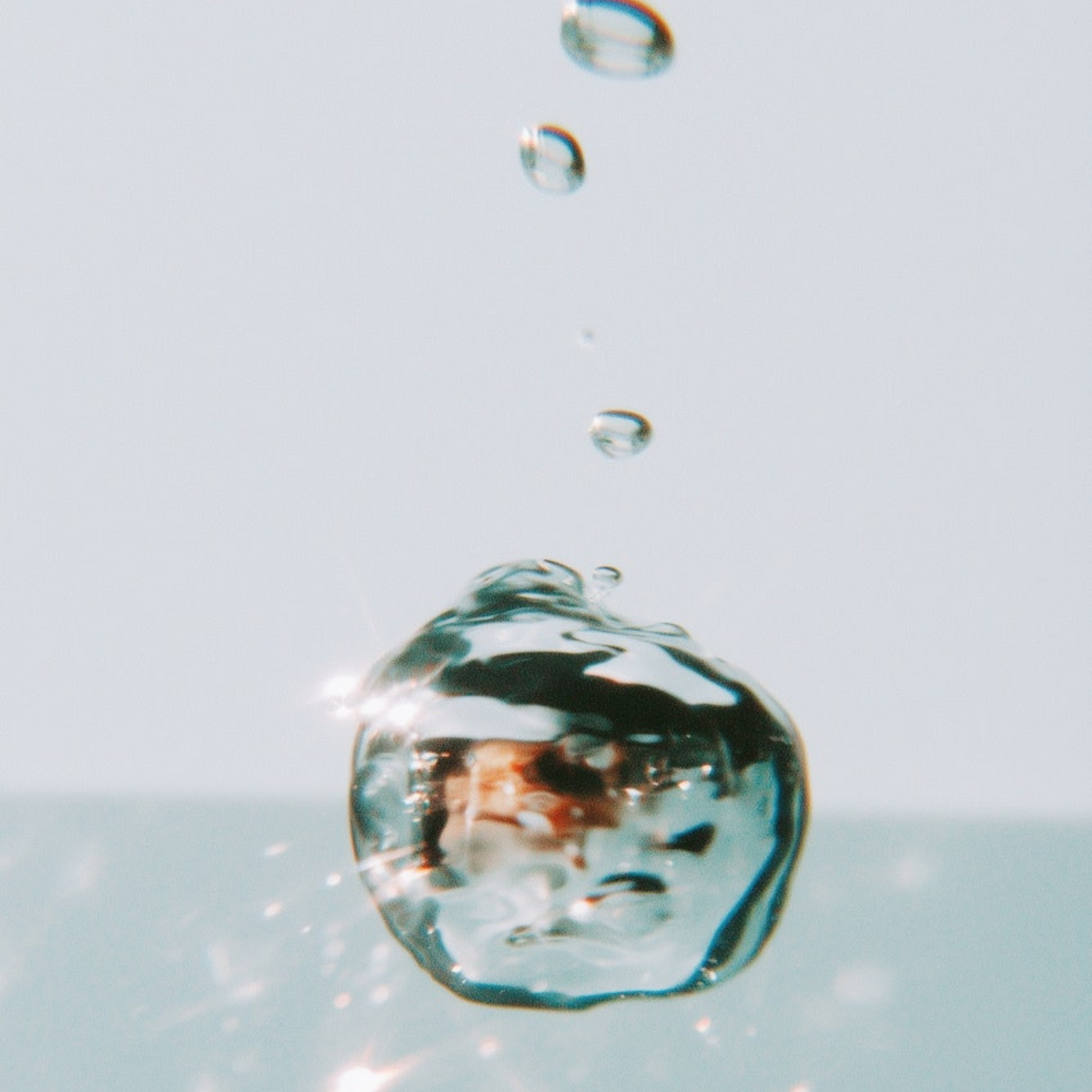 Fermentation and the Role of the Microbiome for Gut & Skin Health