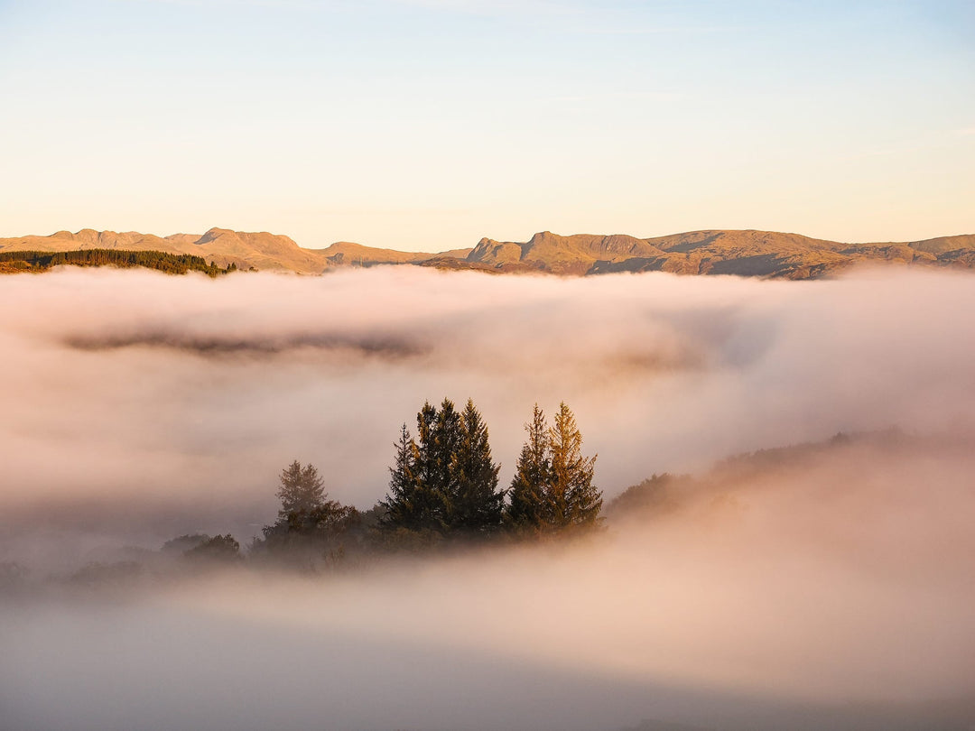 How to Cultivate Calm