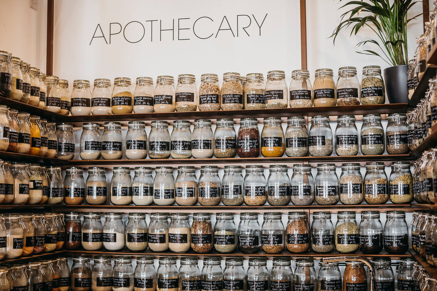 Our Ambition to Provide the Best Herbal Medicine in London