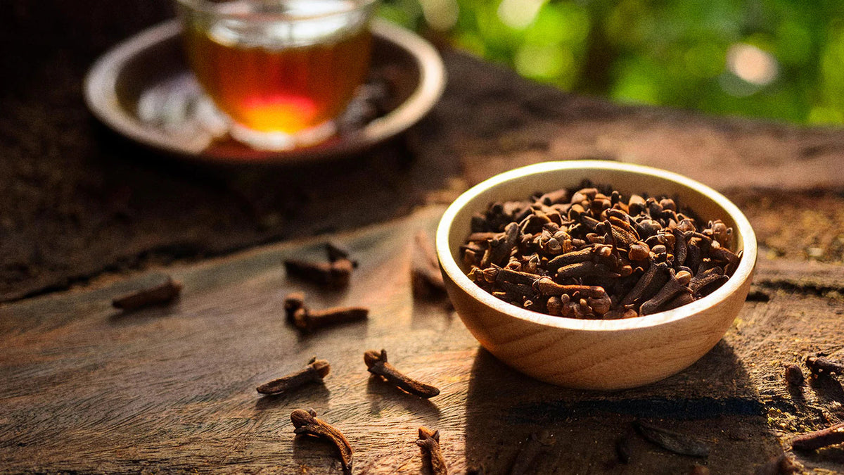 Clove (Syzygium aromaticum)