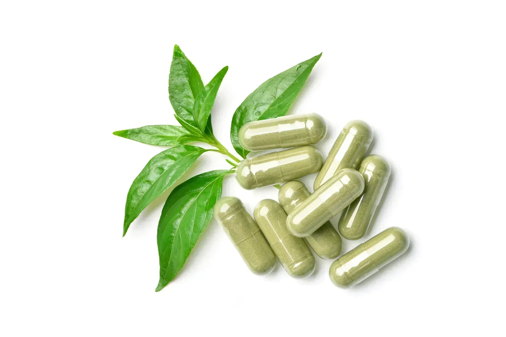 How Herbal Supplements Can Support Your Health