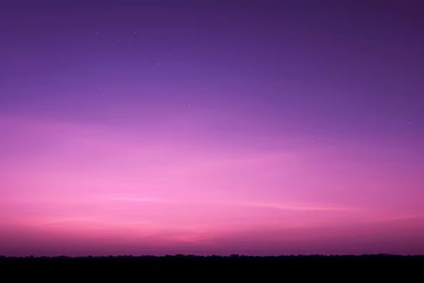 Best Herbs for Sleep & Better Rest