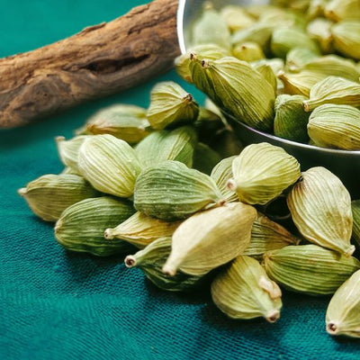 Cardamom (Elettaria cardamomum)