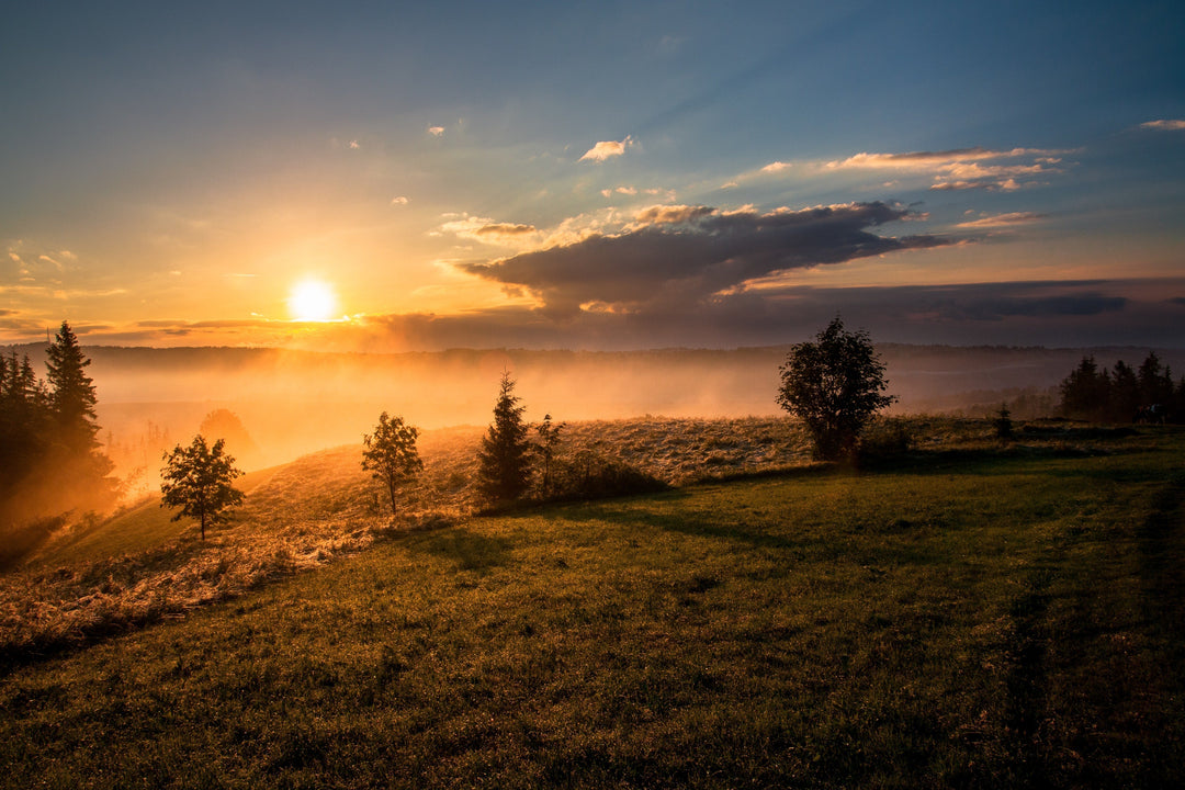 Morning Matters: Herbs For Your First Waking Hour