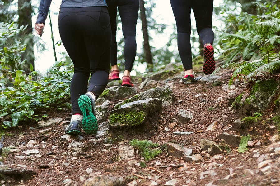 Beyond Ibuprofen: The Best Herbal Remedies for sports enthusiasts, gardeners and athletes seeking Muscle Recovery and Joint Health this summer