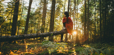 Forest to Focus: The Science Behind Nature's Impact on Your Mind