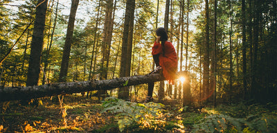 Forest to Focus: The Science Behind Nature's Impact on Your Mind