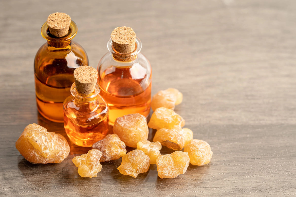 Frankincense (Boswellia spp.)
