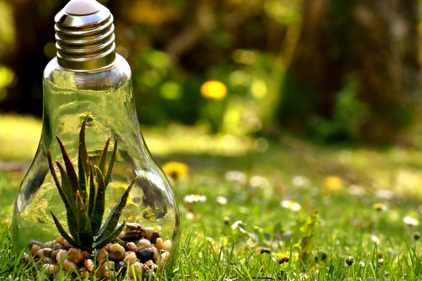 How to Naturally Boost Your Energy Levels