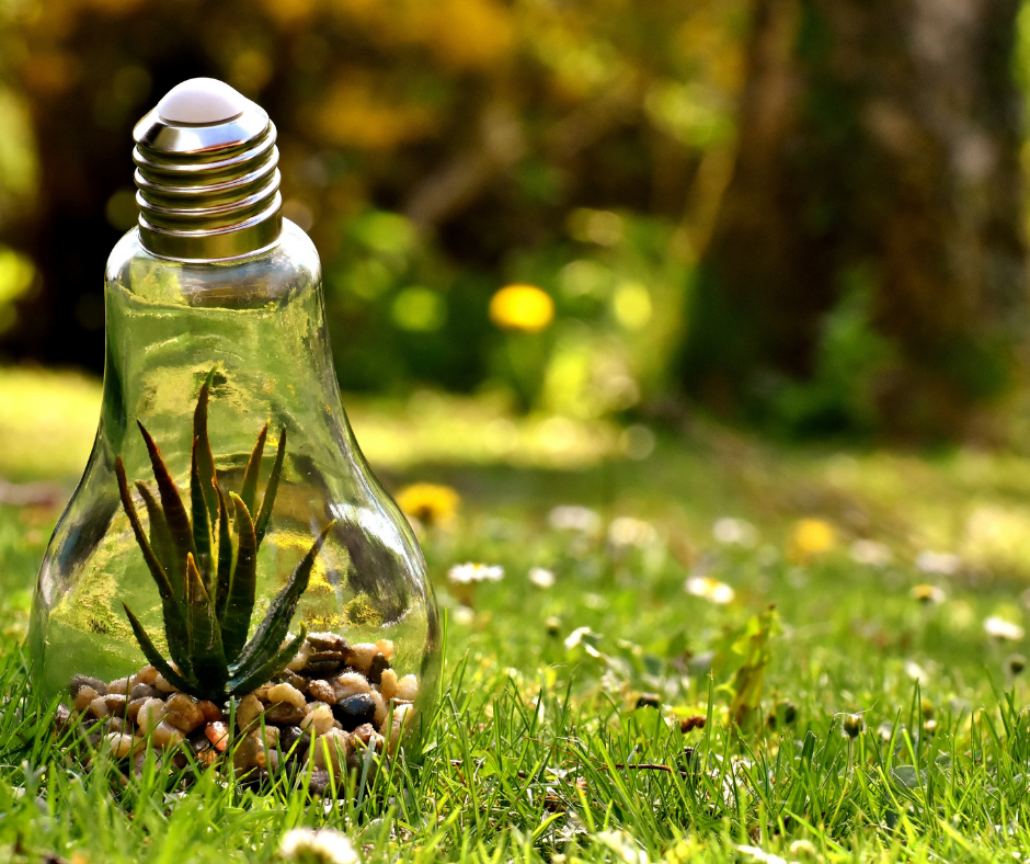 How to Naturally Boost Your Energy Levels