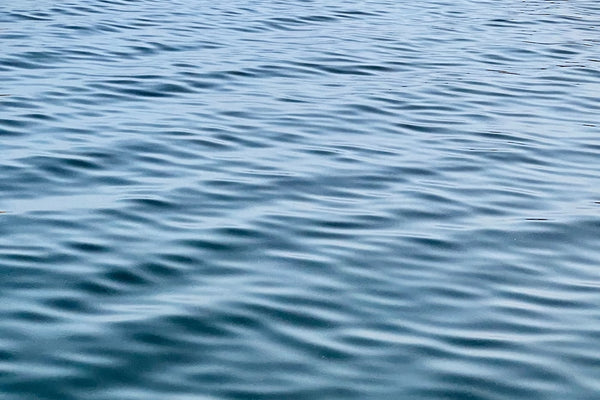 The Best Natural Medicines for Headaches and Migraines