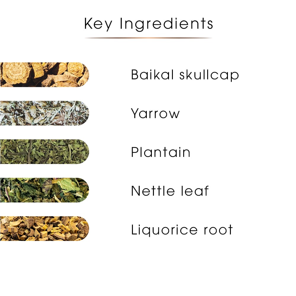 Allergy Support Herbal Tea – Seasonal Airway Ease Blend