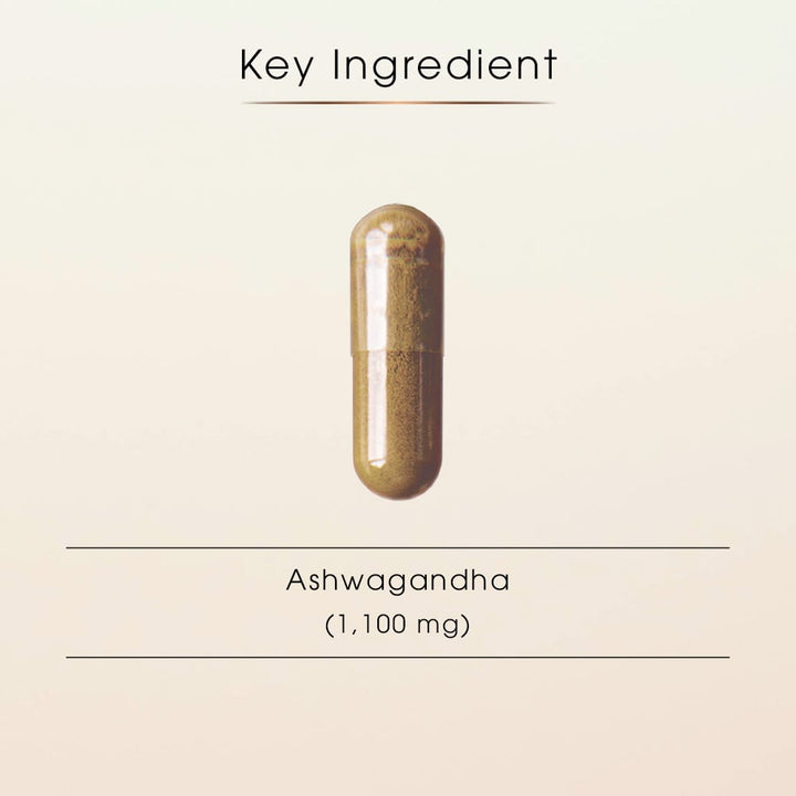 Ashwagandha Capsules – Organic Stress Support & Daily Vitality, 60 capsules