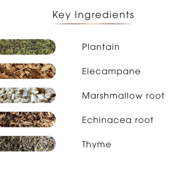 Breathe Herbal Tea – Respiratory Ease Blend
