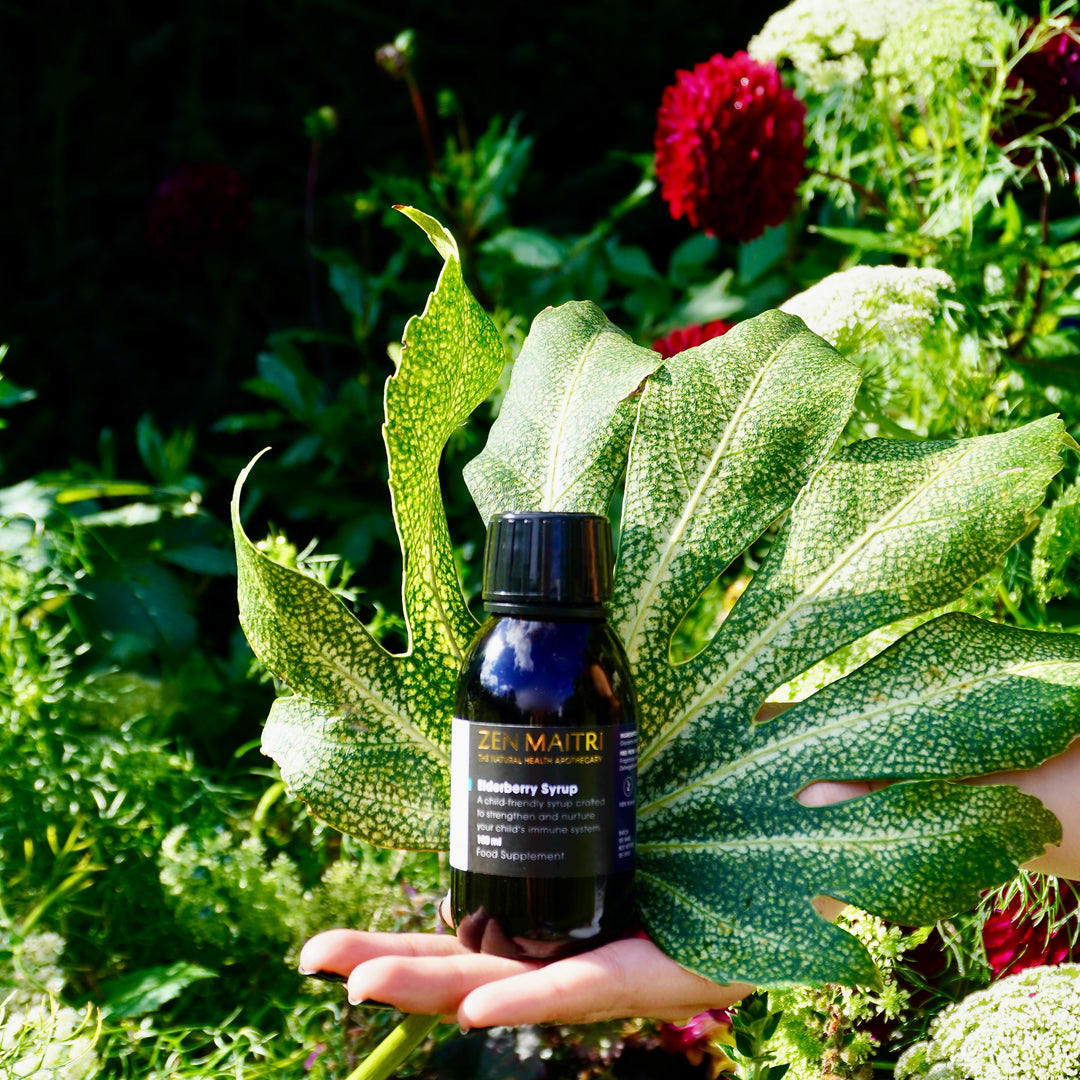 Elderberry Syrup – Botanical Wellness for Kids & Adults, 100 ml