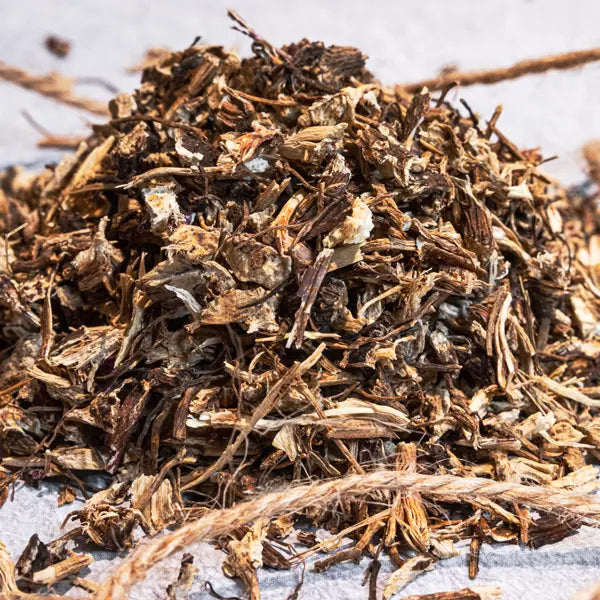 Echinacea (Echinacea angustifolia/purpurea)