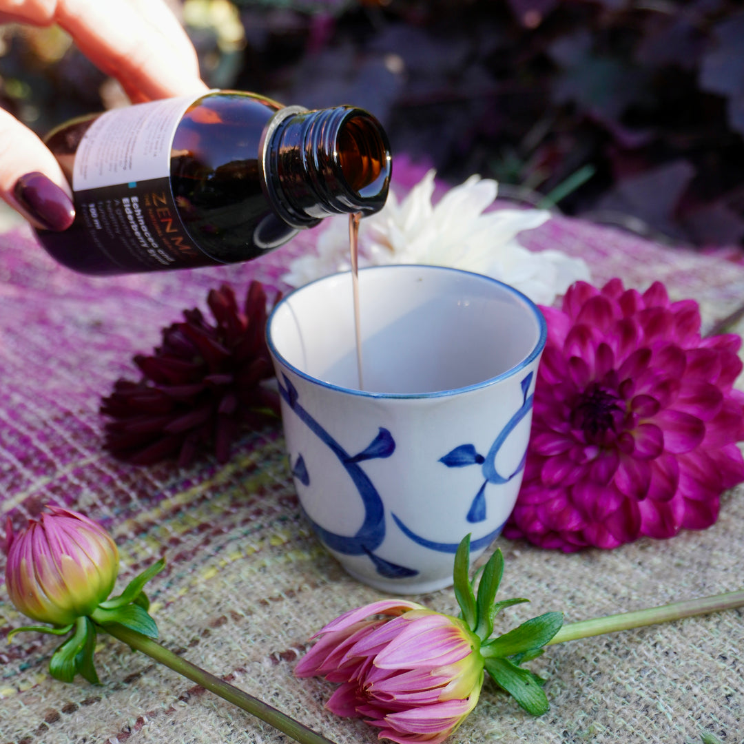 Echinacea & Elderberry Syrup – Herbal Wellness for 12+, 100 ml