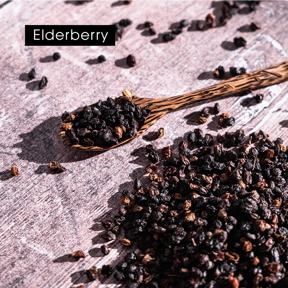 Elderberry Syrup – Botanical Wellness for Kids & Adults, 100 ml