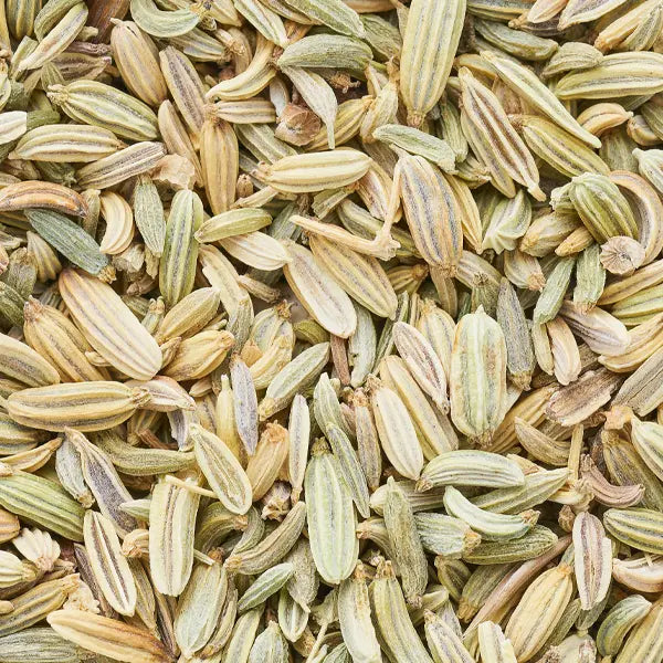 Fennel (Foeniculum vulgare)