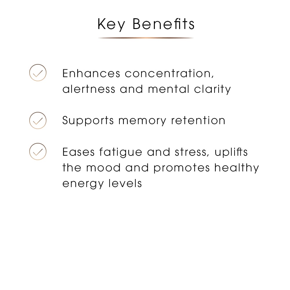 Focus – Memory, Clarity & Concentration Support, 60 Capsules