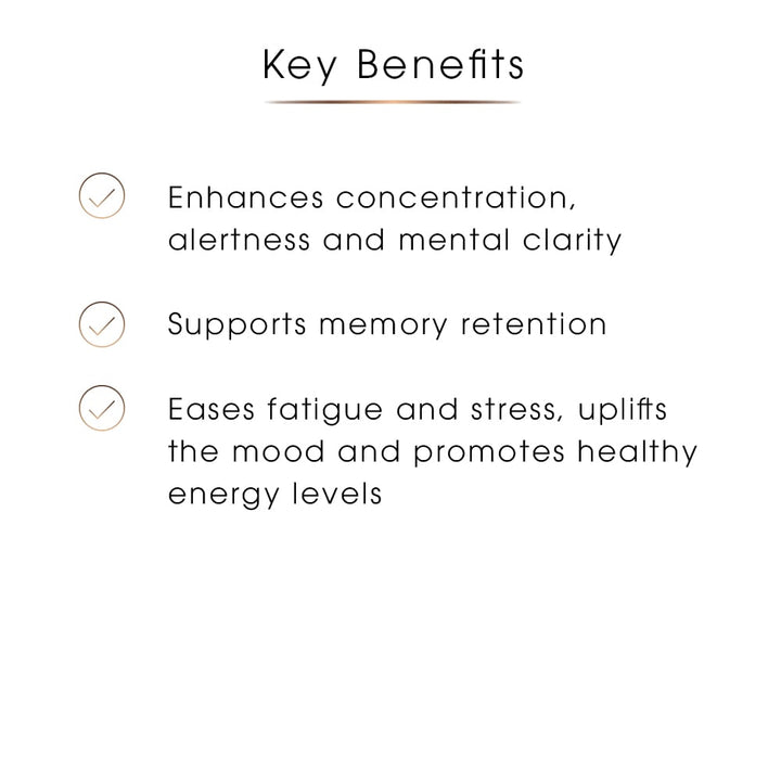 Focus – Memory, Clarity & Concentration Support, 60 Capsules