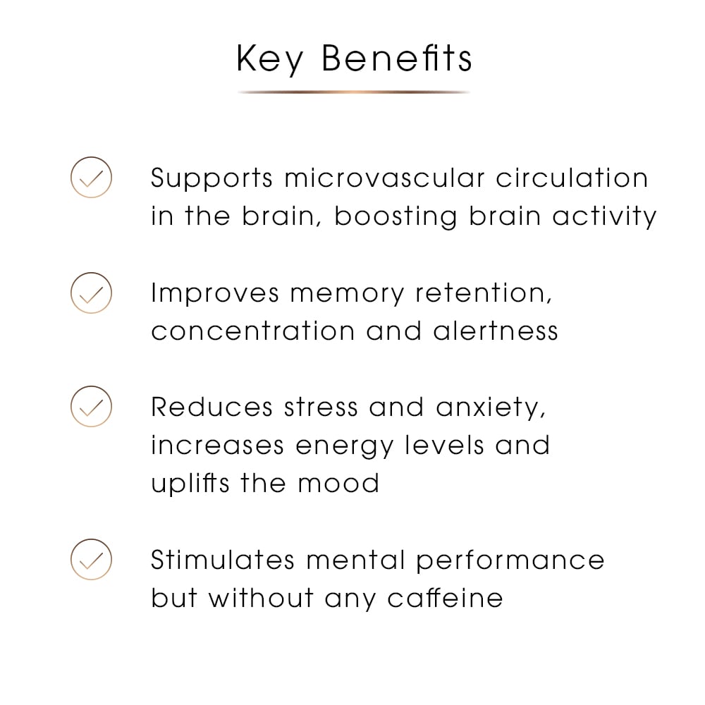 Focus & Cognitive Support Tincture | Herbal Blend for Memory & Mental Clarity | 100ml