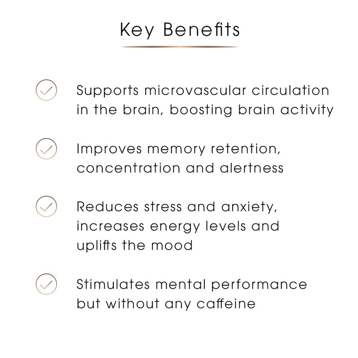 Focus & Cognitive Support Tincture | Herbal Blend for Memory & Mental Clarity | 100ml