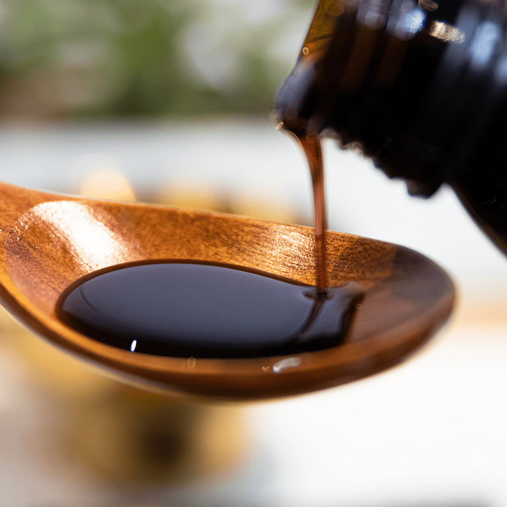 Elderberry Syrup – Botanical Wellness for Kids & Adults, 100 ml