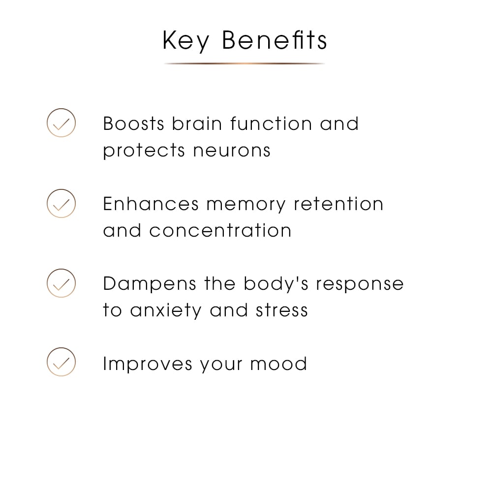 Lion’s Mane Concentrate 10:1 – Focus, Clarity & Memory Support, 60 Capsules