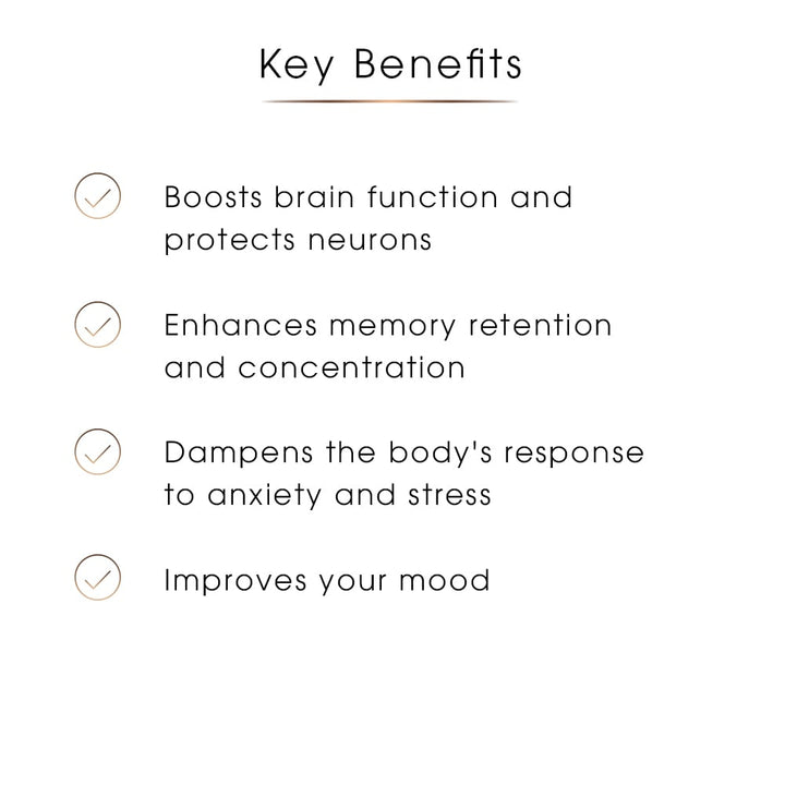 Lion’s Mane Concentrate 10:1 – Focus, Clarity & Memory Support, 60 Capsules