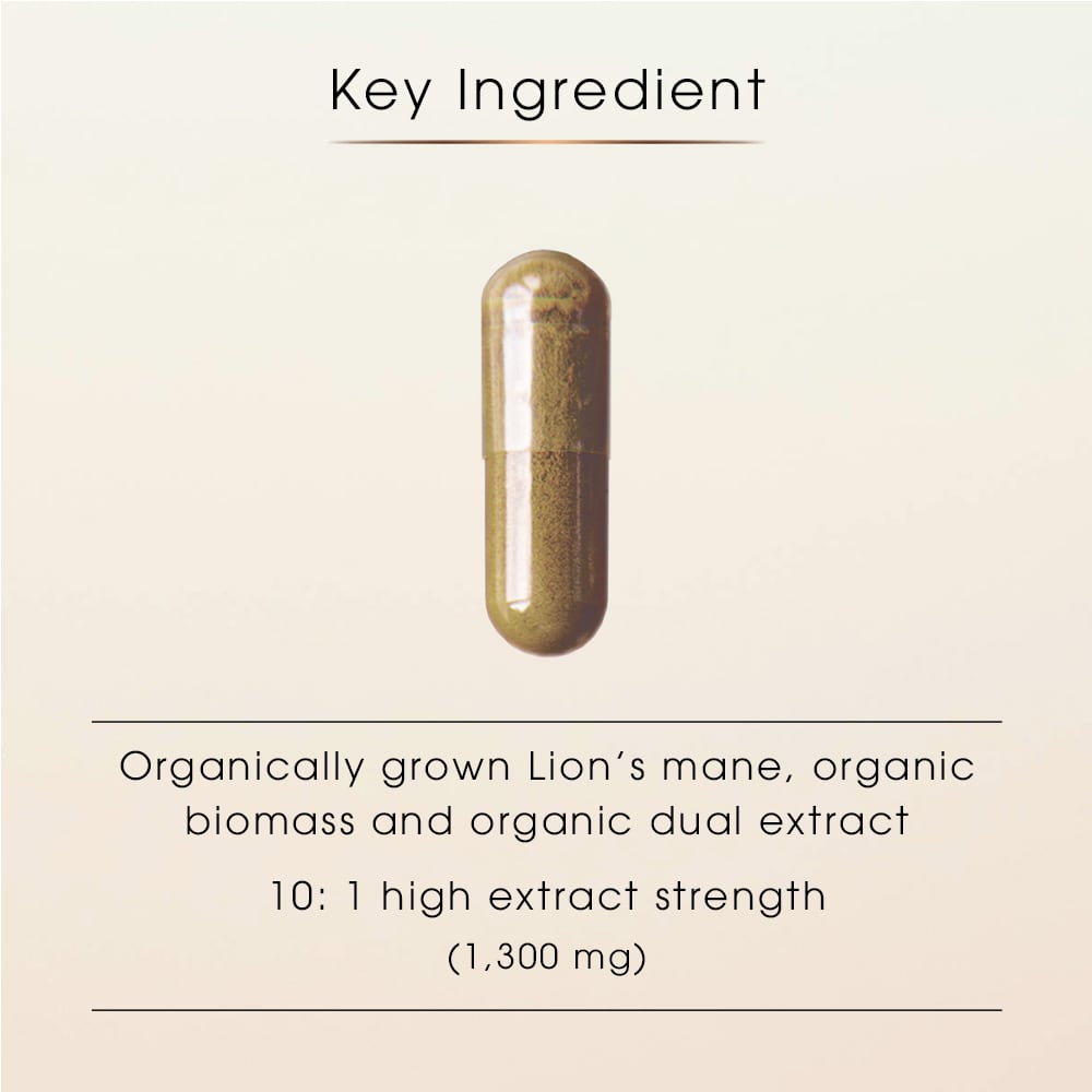 Lion’s Mane Concentrate 10:1 – Focus, Clarity & Memory Support, 60 Capsules