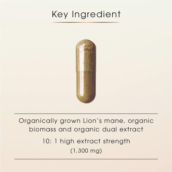 Lion’s Mane Concentrate 10:1 – Focus, Clarity & Memory Support, 60 Capsules