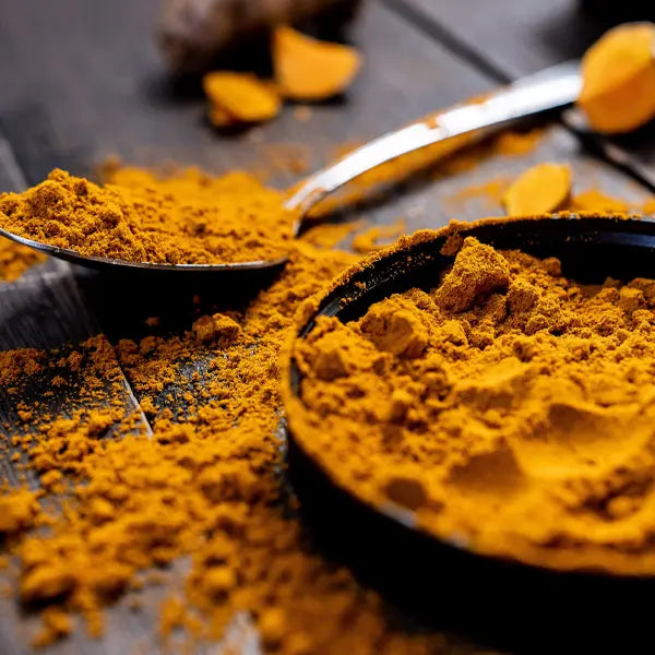 Turmeric (Curcuma longa)