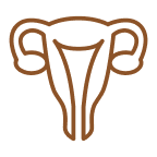 ENDOCRINE AND /OR REPRODUCTIVE SYSTEM