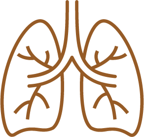 RESPIRATORY SYSTEM